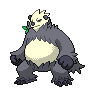 Pandarbare