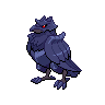 Corvaillus